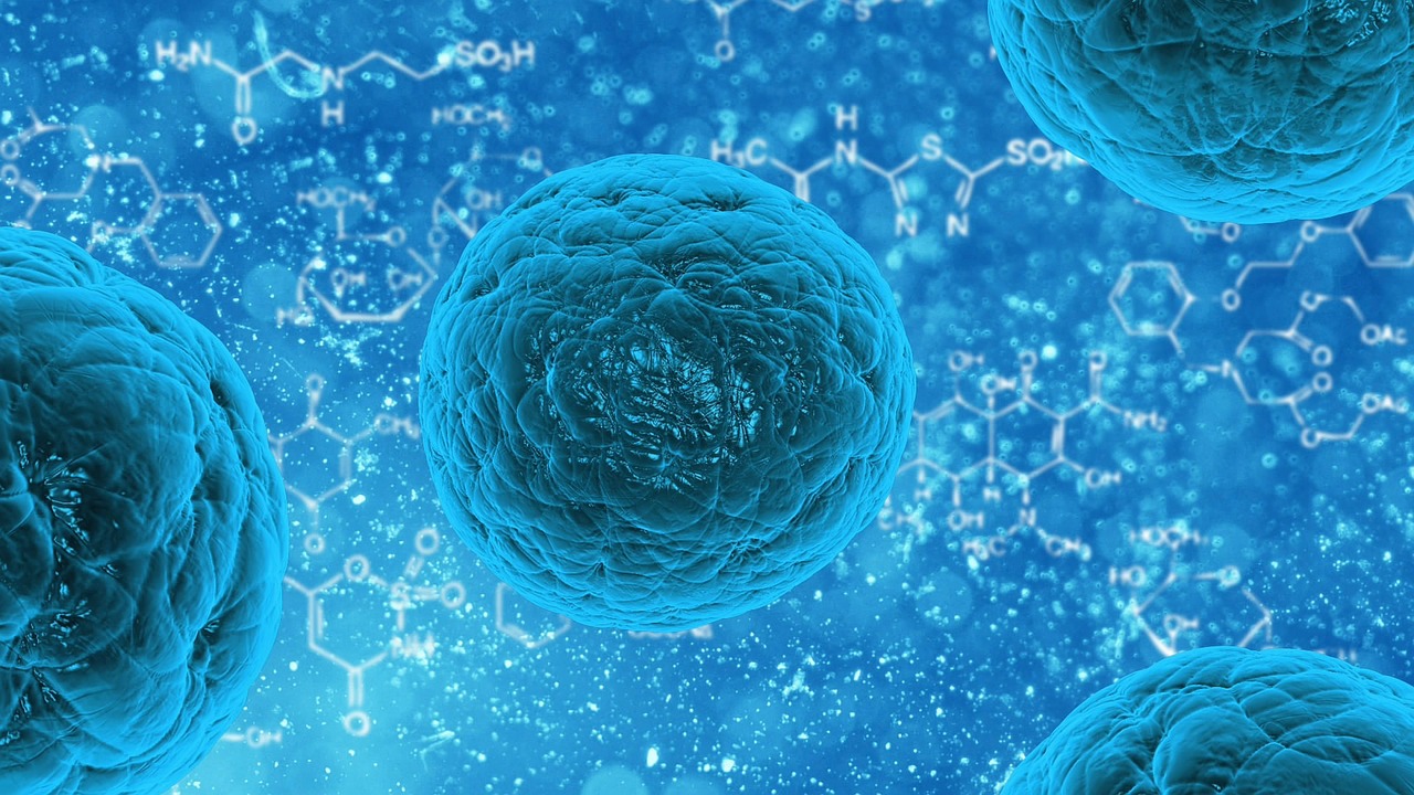 科研人员在体外建立并解析人8细胞期胚胎样细胞