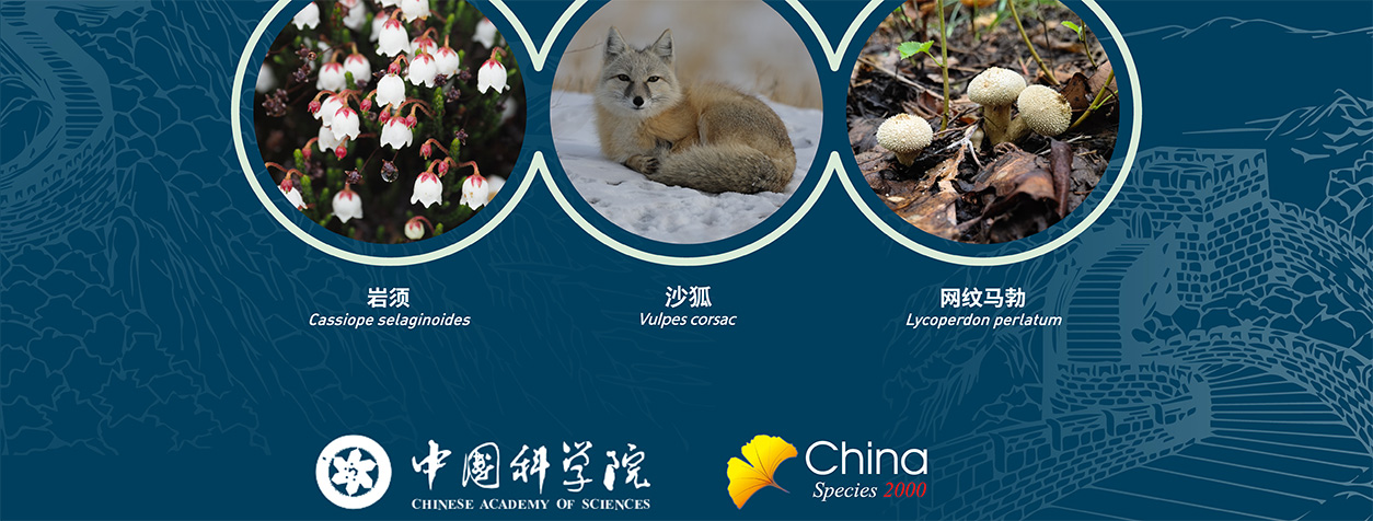 《中国生物物种名录》2022版发布 新增10343个物种及种下单元