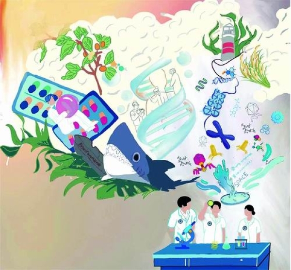 “小平板”上的进化加速器