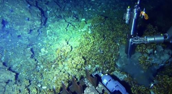 我国首次深海保温保压取样海试成功