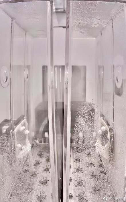 搭乘神舟十五号进入太空 拟南芥在空间站长出嫩芽