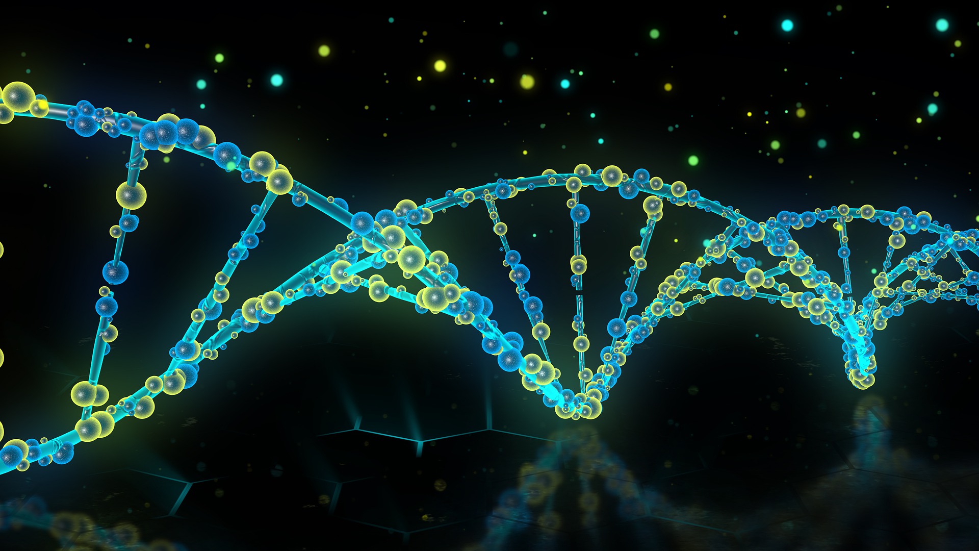 DNA纳米装置工程化改造T细胞研究获进展